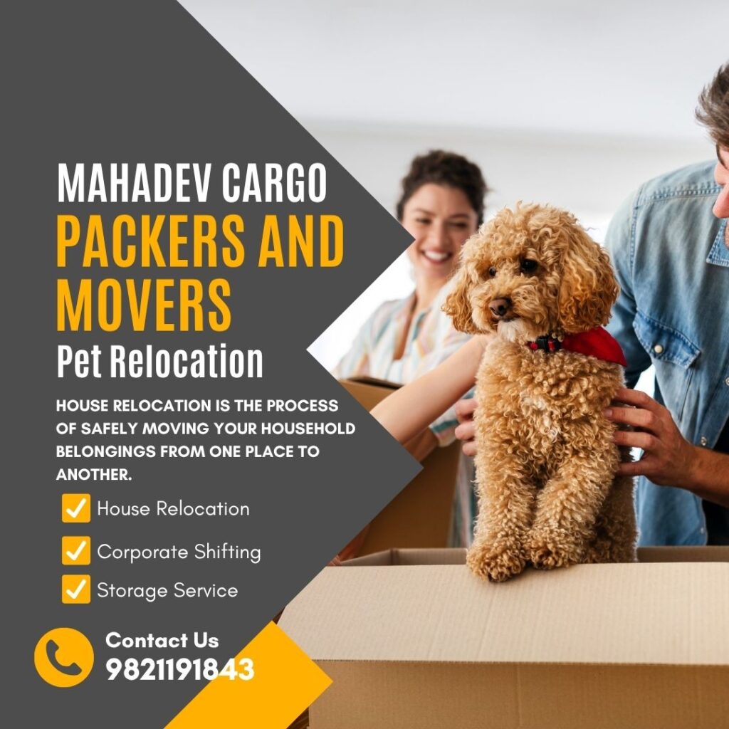 Mahadev Cargo Packers and Movers Pet Relocation